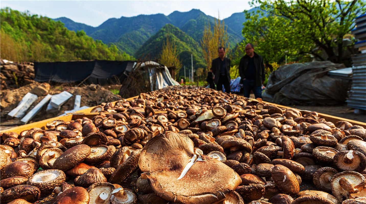 《結(jié)對(duì)幫扶，碩果累累》高波
